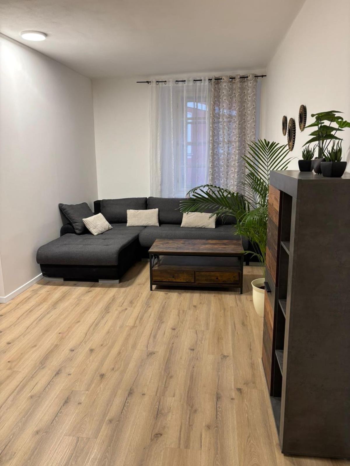 Apartment Am Schlosspark 2 Хеб Екстериор снимка
